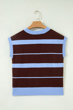 Sky Blue Stripe Striped Short Sleeve Round Neck Casual Knit Top