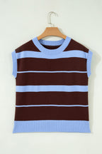 Sky Blue Stripe Striped Short Sleeve Round Neck Casual Knit Top