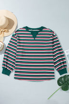 Green Stripe Striped Colorblock Round Neck Long Sleeve Shift Plus Size Sweatshirt