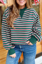 Green Stripe Striped Colorblock Round Neck Long Sleeve Shift Plus Size Sweatshirt