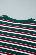 Green Stripe Striped Colorblock Round Neck Long Sleeve Shift Plus Size Sweatshirt